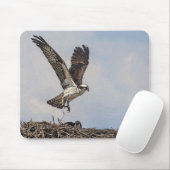 Osprey in einem Nest Mousepad (Mit Mouse)