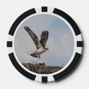 Osprey in einem Nest Pokerchips