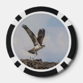 Osprey in einem Nest Pokerchips (Rückseite)