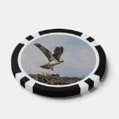 Osprey in einem Nest Pokerchips (Einzeln)