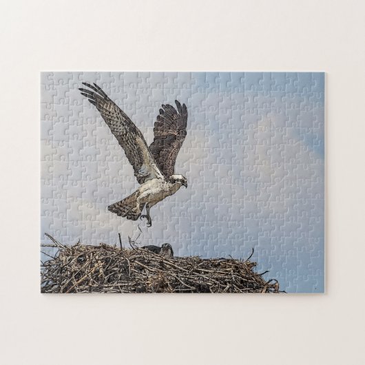 Osprey in einem Nest Puzzle (Horizontal)