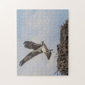 Osprey in einem Nest Puzzle (Vertikal)