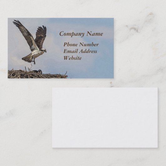 Osprey in einem Nest Visitenkarte (Vorne/Hinten)