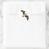 Osprey in Flight Logo Quadratischer Aufkleber (Tasche)
