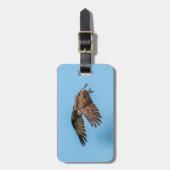 Osprey in Flitterwochen Staat Park Gepäckanhänger (Vorderseite vertikal)