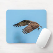Osprey in Flitterwochen Staat Park Mousepad (Mit Mouse)