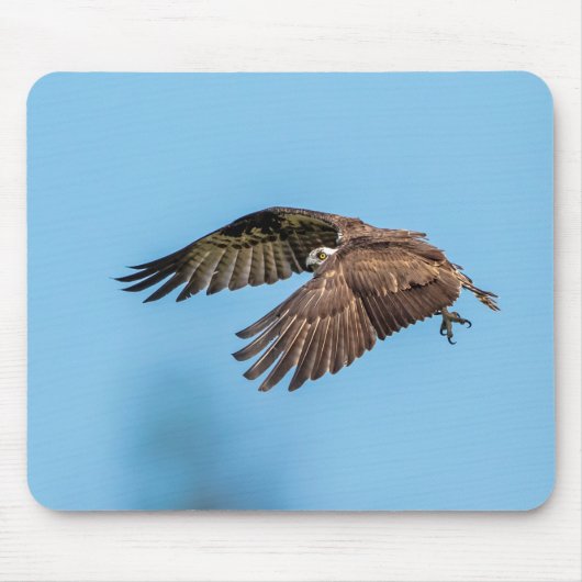 Osprey in Flitterwochen Staat Park Mousepad (Vorne)