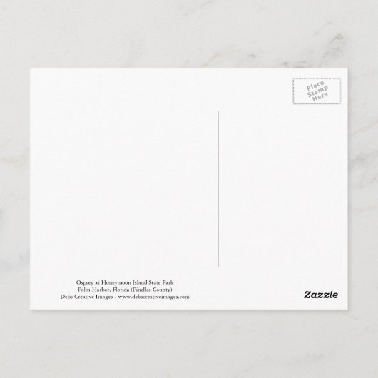 Osprey in Flitterwochen Staat Park Postkarte (Rückseite)