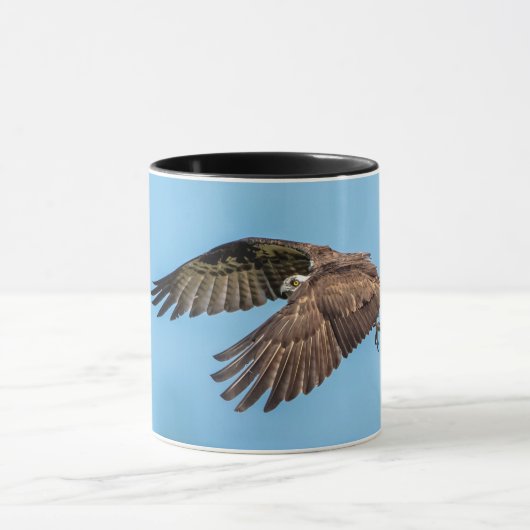 Osprey in Flitterwochen Staat Park Tasse (Zentrum)