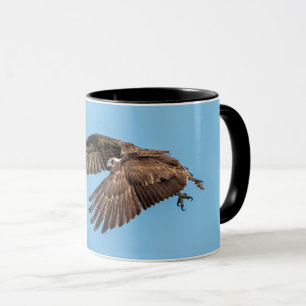 Osprey in Flitterwochen Staat Park Tasse