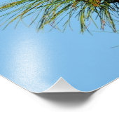 Osprey in freier Wildbahn Fotodruck (Ecke)