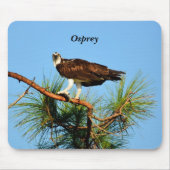 Osprey in freier Wildbahn Mousepad (Vorne)