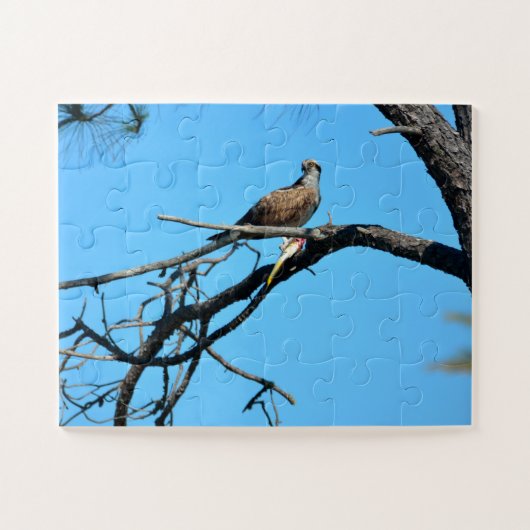 Osprey in freier Wildbahn Puzzle (Horizontal)