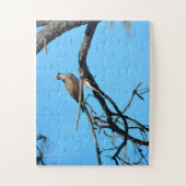 Osprey in freier Wildbahn Puzzle (Vertikal)