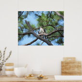 Osprey in Pine Tree Poster (Küche)