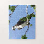 Osprey in Tree - Raptor - Bird Puzzle (Vertikal)