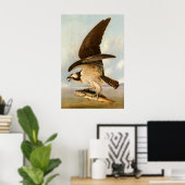Osprey - John James Audubon Fine Art Poster (Heimbüro)