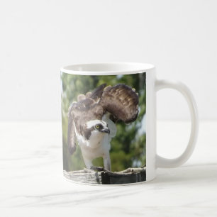 Osprey-Kaffee-Tasse Kaffeetasse