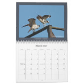 Osprey-Kalender Kalender (Mär 2027)