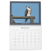 Osprey-Kalender Kalender (Feb 2027)