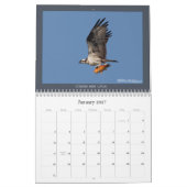 Osprey-Kalender Kalender (Jan 2027)