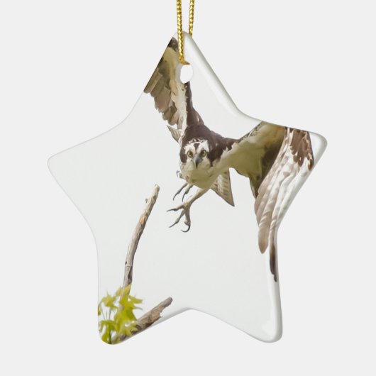 Osprey kommt auf dich zu keramikornament (Links)