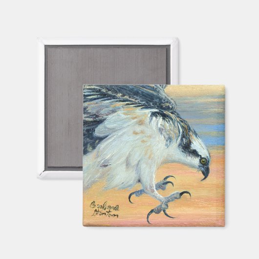 "Osprey Landing" Magnet (Vorderseite/Rückseite)