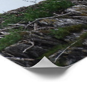 Osprey Landing Poster (Ecke)