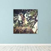 Osprey Landing Stretched Canvas Print Leinwanddruck (Insitu (Holzboden))