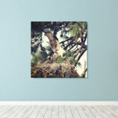 Osprey Landing Stretched Canvas Print Leinwanddruck (Insitu (Holzboden))