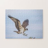 Osprey Landung im Nest Puzzle (Horizontal)