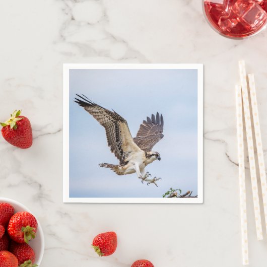 Osprey Landung im Nest Serviette (Beispiel)