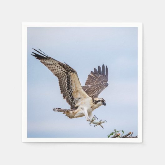 Osprey Landung im Nest Serviette (Vorderseite)