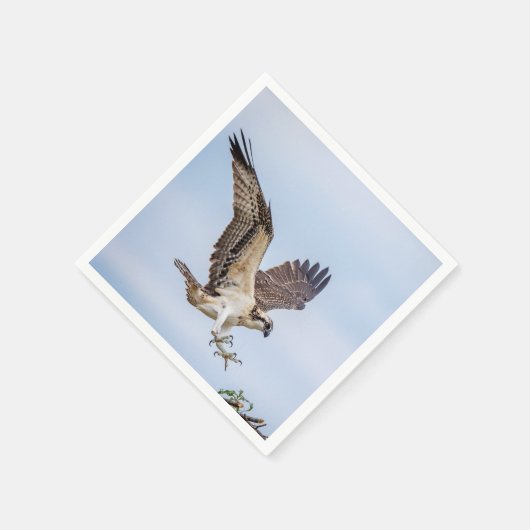 Osprey Landung im Nest Serviette (Ecke)