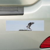 Osprey-Landungs-Autoaufkleber Autoaufkleber (Auf Auto)