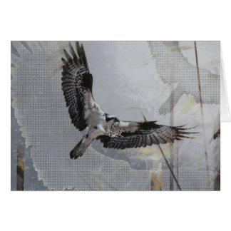 Osprey-leere Karte durch Andrew Denman
