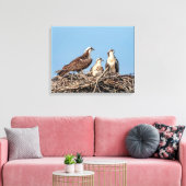 Osprey Mama mit ihren Kindern Leinwanddruck (Insitu (Wohnzimmer))