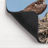 Osprey Mama mit ihren Kindern Mousepad (Ecke)