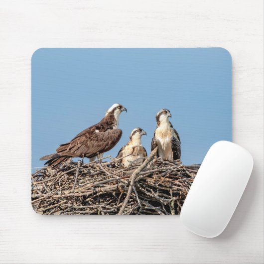 Osprey Mama mit ihren Kindern Mousepad (Mit Mouse)