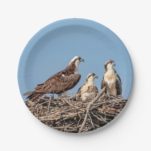 Osprey Mama mit ihren Kindern Pappteller (Vorderseite)