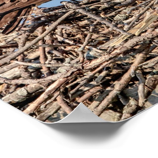 Osprey Mama mit ihren Kindern Poster (Ecke)