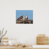 Osprey Mama mit ihren Kindern Poster (Küche)