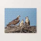 Osprey Mama mit ihren Kindern Puzzle (Horizontal)