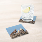 Osprey Mama mit ihren Kindern Rechteckiger Pappuntersetzer (Vor Ort)