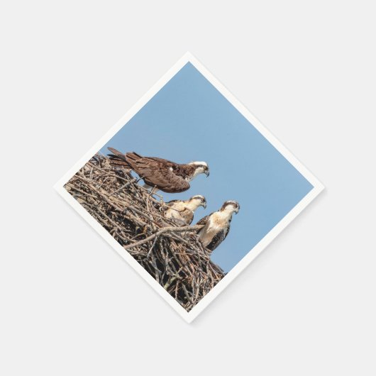 Osprey Mama mit ihren Kindern Serviette (Ecke)