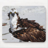 Osprey-Mausunterlage Mousepad (Vorne)