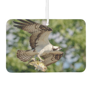 Osprey mit einem großen Mundbaß Autolufterfrischer