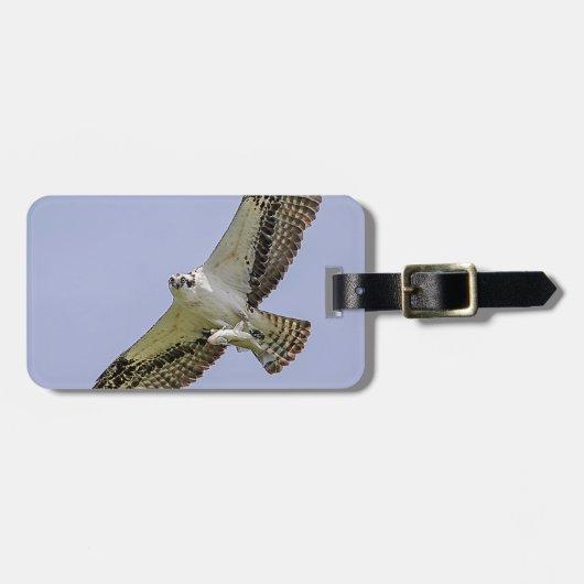 Osprey mit Fisch Gepäckanhänger (Vorderseite horizontal)