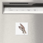 Osprey mit Fisch Magnet (In Situ (Geschirrspüler))