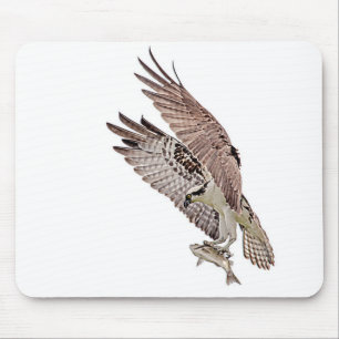 Osprey mit Fisch Mousepad